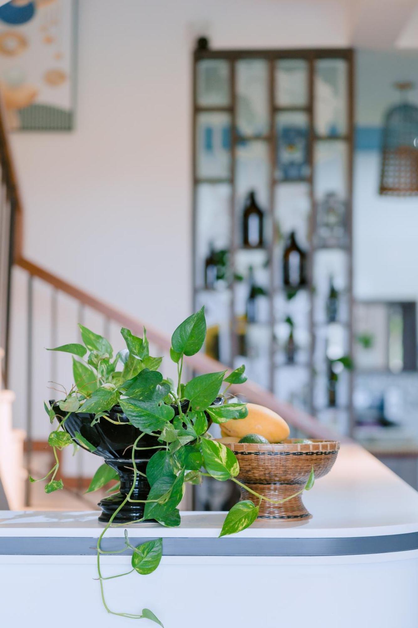 Bs Jade Home Hoi An Exterior foto